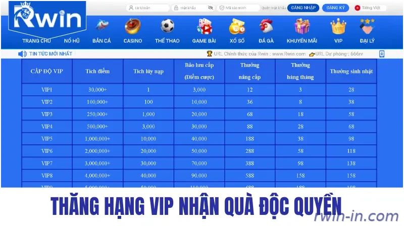 Đặc quyền VIP RWIN cho hội viên
